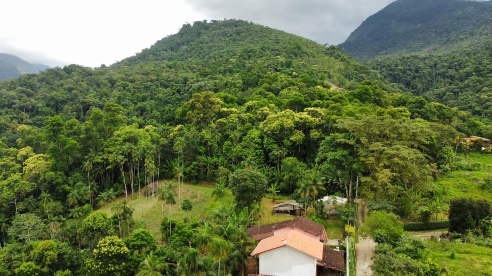 Casa Da Floresta Pico Da Aguia Parati Extérieur photo