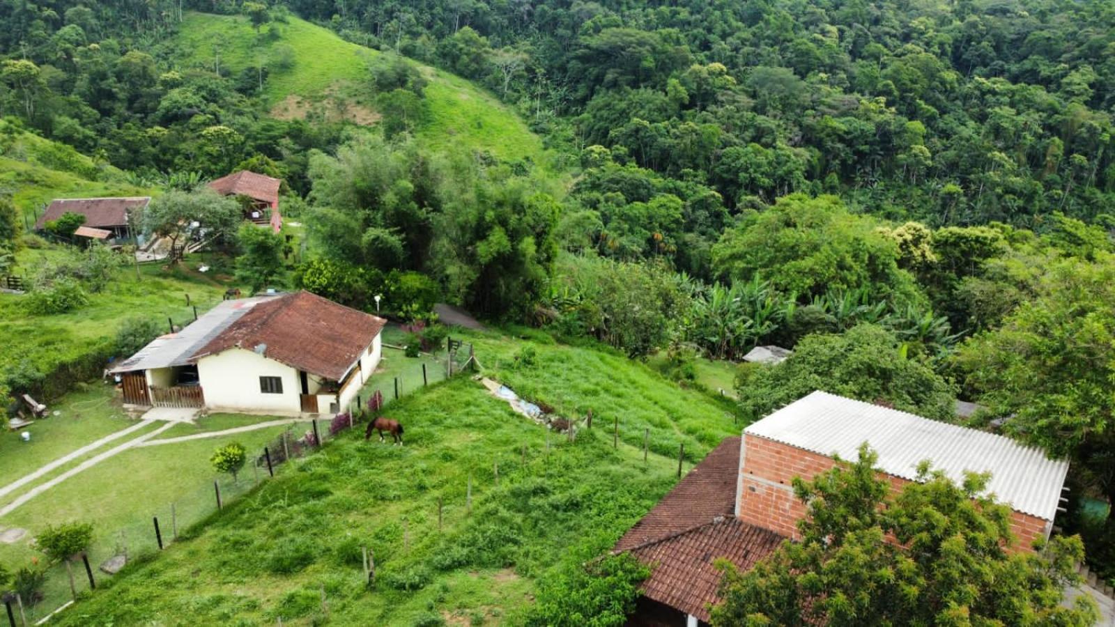Casa Da Floresta Pico Da Aguia Parati Extérieur photo