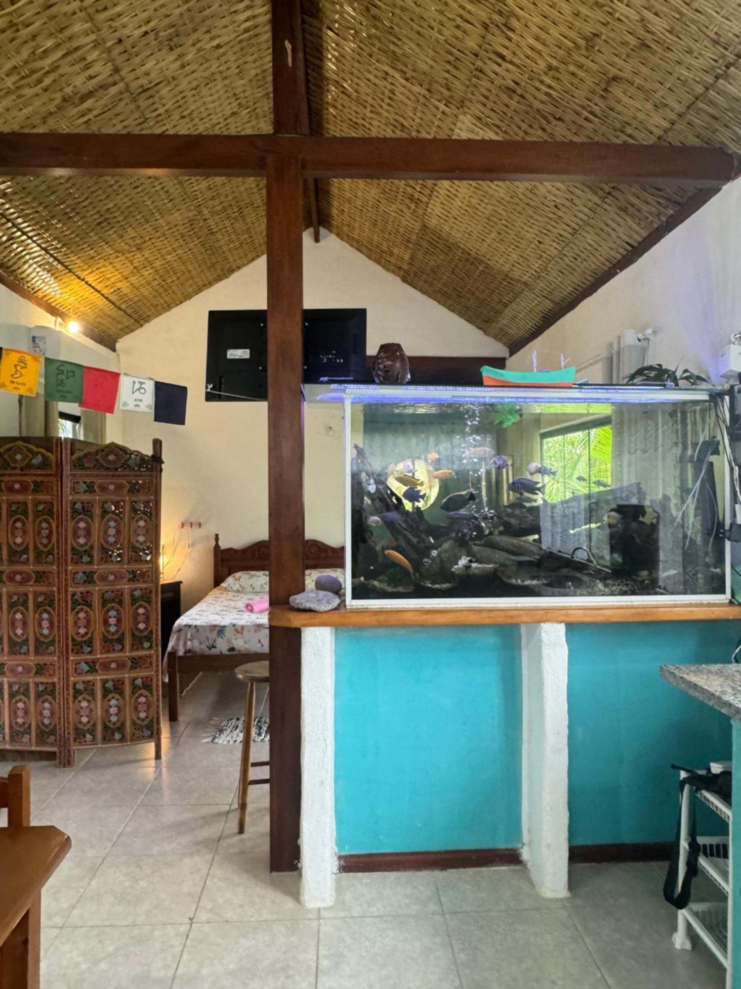 Casa Da Floresta Pico Da Aguia Parati Extérieur photo